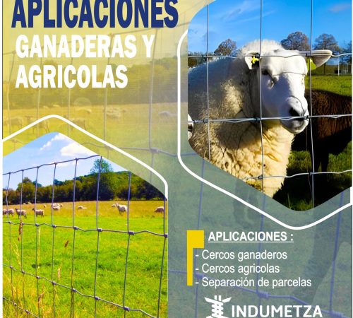 SERVICIOS 2